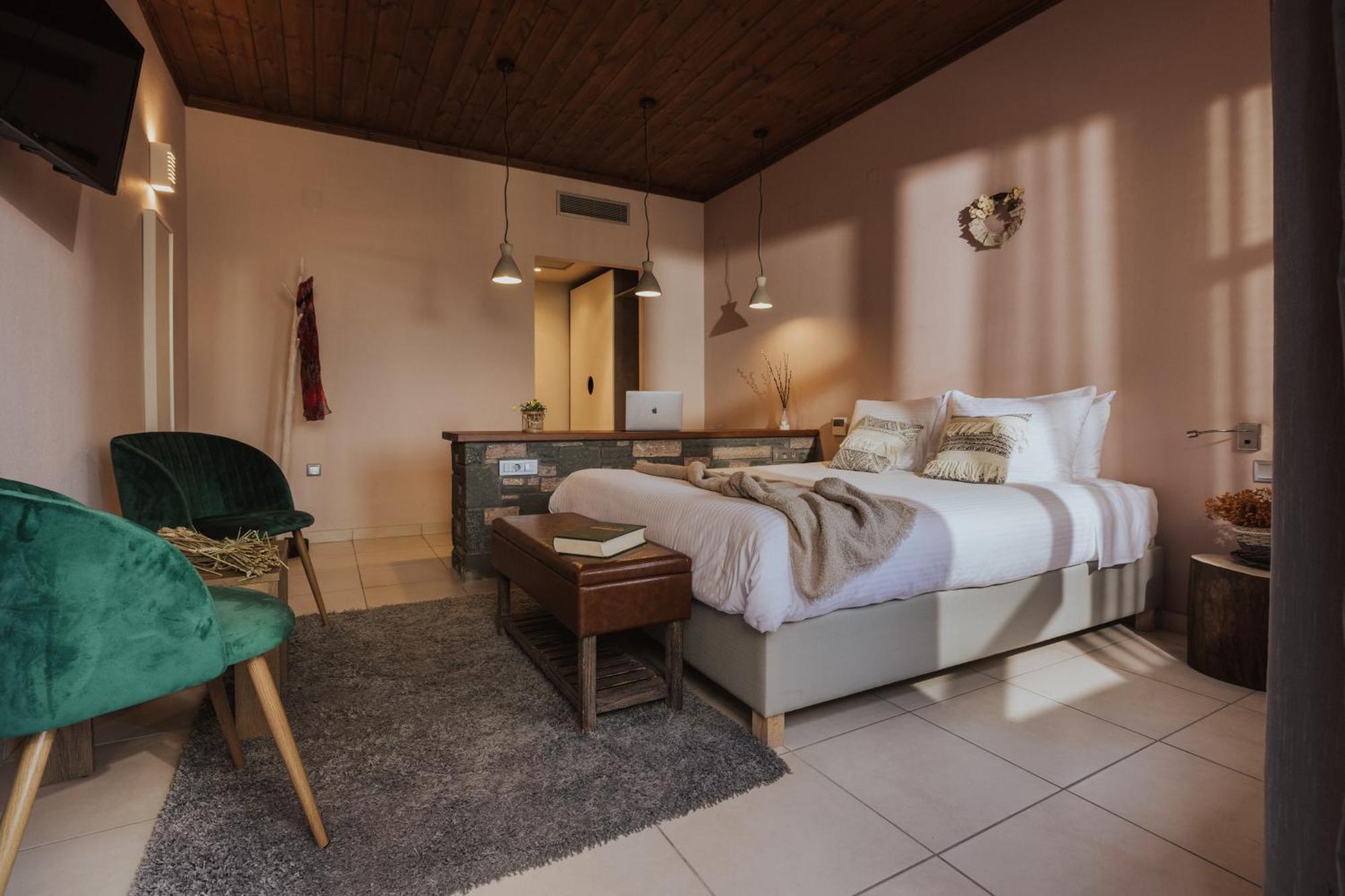 Rouista Tzoumerka Resort Vourgareli Rum bild